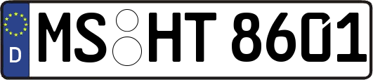 MS-HT8601