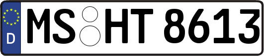 MS-HT8613