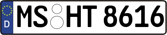 MS-HT8616