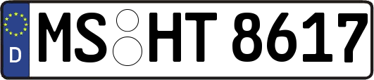 MS-HT8617