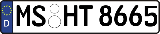 MS-HT8665