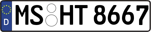 MS-HT8667