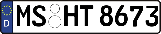 MS-HT8673