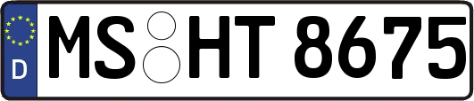 MS-HT8675