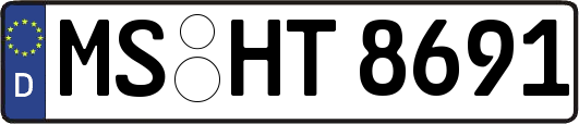 MS-HT8691