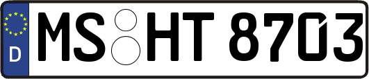 MS-HT8703