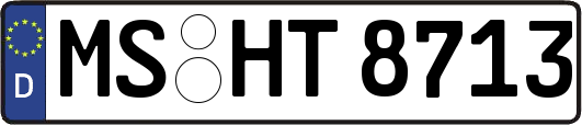 MS-HT8713