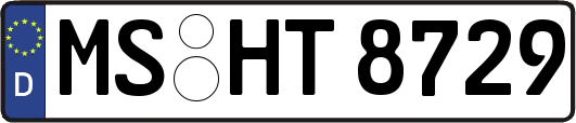 MS-HT8729