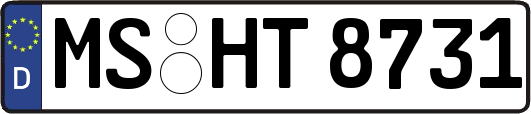 MS-HT8731