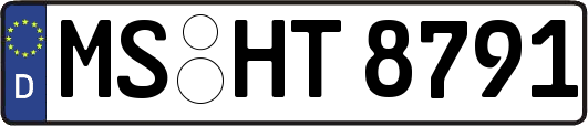 MS-HT8791