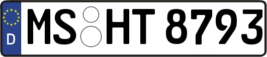 MS-HT8793