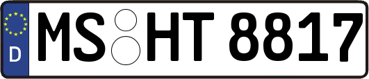 MS-HT8817