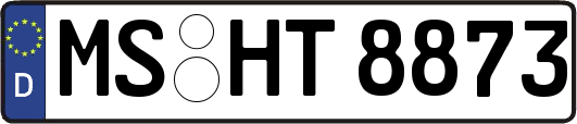 MS-HT8873