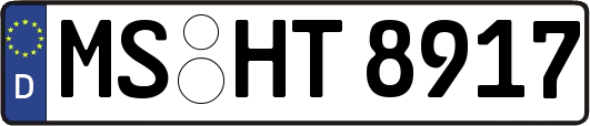 MS-HT8917