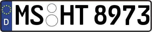 MS-HT8973