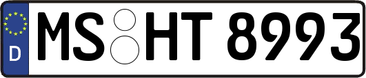 MS-HT8993