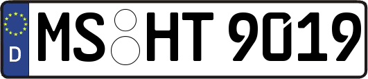 MS-HT9019