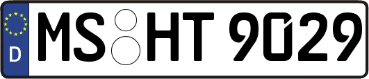MS-HT9029