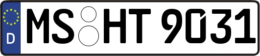 MS-HT9031