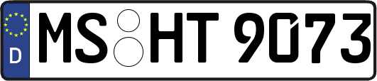 MS-HT9073
