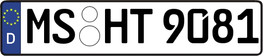MS-HT9081