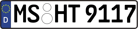 MS-HT9117