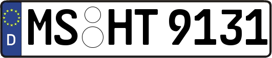 MS-HT9131