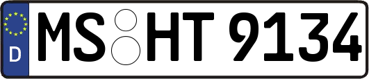 MS-HT9134