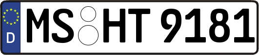 MS-HT9181