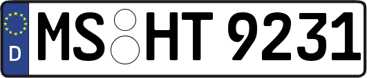 MS-HT9231