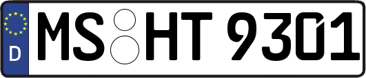 MS-HT9301