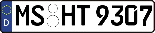 MS-HT9307