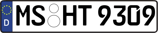 MS-HT9309