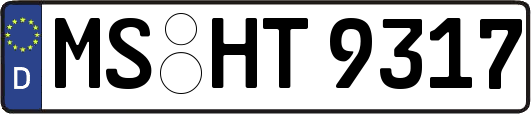 MS-HT9317