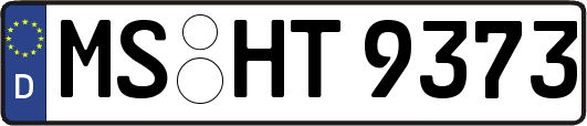 MS-HT9373