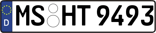 MS-HT9493