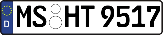 MS-HT9517