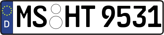 MS-HT9531