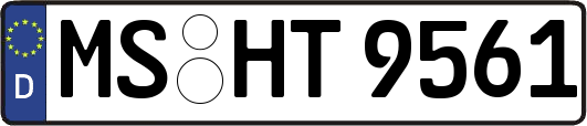 MS-HT9561