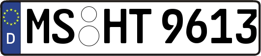 MS-HT9613