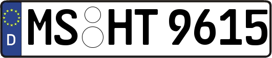 MS-HT9615