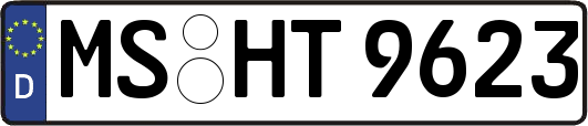 MS-HT9623