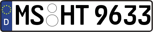 MS-HT9633