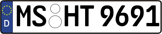 MS-HT9691