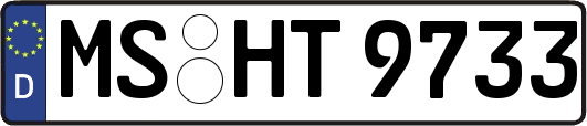 MS-HT9733