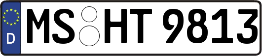 MS-HT9813