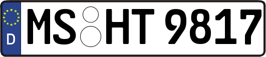 MS-HT9817