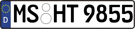 MS-HT9855