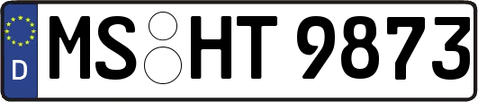 MS-HT9873