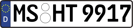 MS-HT9917